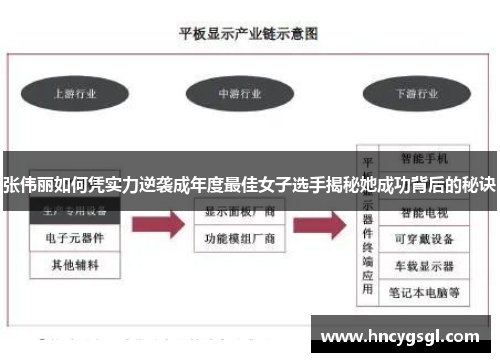 张伟丽如何凭实力逆袭成年度最佳女子选手揭秘她成功背后的秘诀