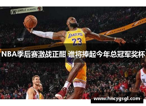 NBA季后赛激战正酣 谁将捧起今年总冠军奖杯